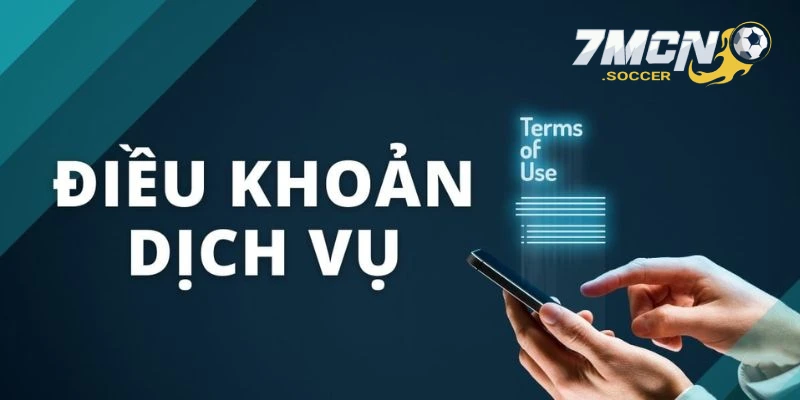 Thông tin về quy định điều khoản dịch vụ